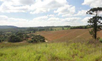 Área à venda, 78382 m² por R$ 7.840.000,00 - Terras de São Felipe (Caucaia do Alto) - Cotia/SP