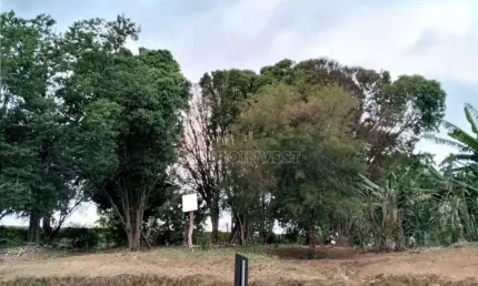 Terreno comercial à venda na Rua Sílvio Pedroso, 47, Centro, Cotia