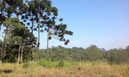 Área à venda, 2072 m² por r$ 2.128.000,00 - cotia - cotia/sp