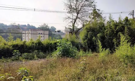 Terreno à venda, 1550 m² por R$ 1.500.000,00 - Jardim Barbacena - Cotia/SP