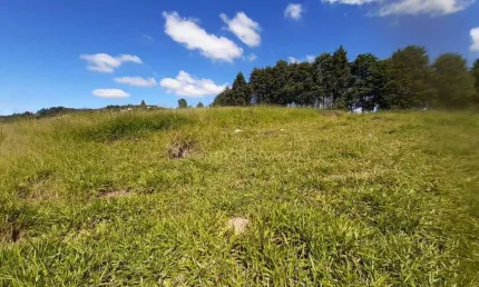 Terreno à venda na Estrada dos Pinheiros, 799, Chácaras Monte Serrat, Itapevi