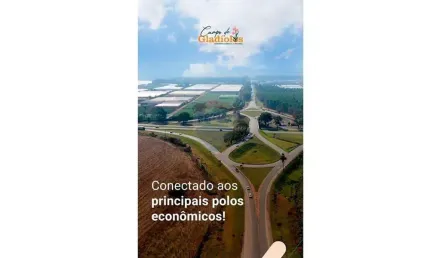 Campo de gladiolos condominio comercial e industrial de holambra