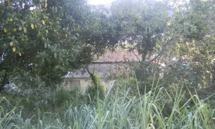 Terreno à venda na doutor nilo peçanha, 1452, marapé, santos por r$ 4.800.000