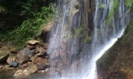 Chácara / sítio com 6 quartos à venda em Pirabeiraba, Joinville 