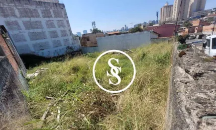Terreno com 596 m² de área total à venda - Vila Euclides, São Bernardo do Campo/SP