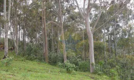 Terreno à venda, 20000 m² por r$ 350.000,00 - chácaras maringá - atibaia/sp