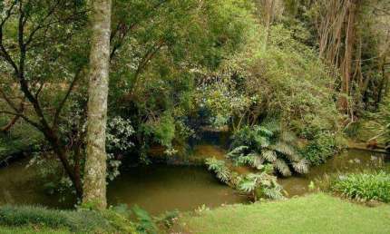 Terreno residencial à venda, Rio Abaixo, Mairiporã - TE0259.