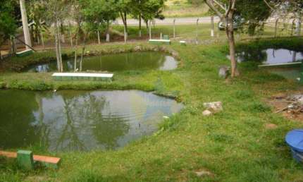 Chácara à venda, 5000 m² por R$ 720 Mil, Piracaia SP
