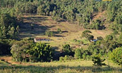 Sítio à venda, 338800 m² por R$ 2.500.000,00 - Vale do Rio Cachoeira - Piracaia/SP