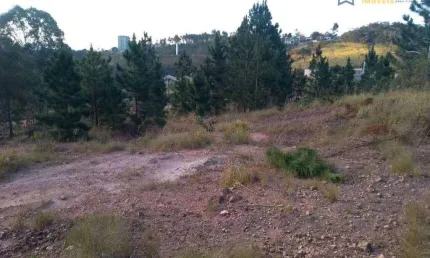 Terreno à venda, 499 m² por R$ 145.000,00 - Atibaia Belvedere - Atibaia/SP