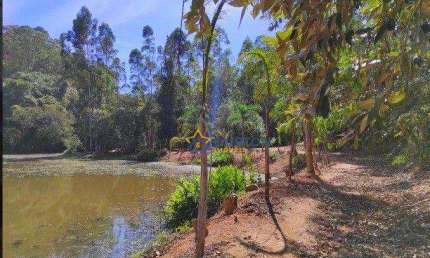 Vasta Propriedade Rural com Lagos - 12,5 Alqueires em Campo Largo, Jarinu/SP