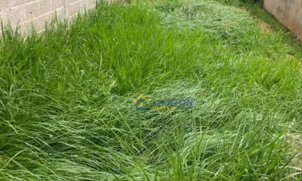 Terreno à venda no jardim alvinópolis, atibaia – 145 m²