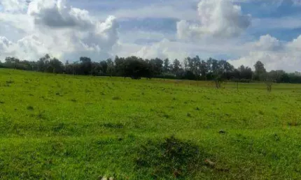 Chácara / sítio com 2 quartos à venda na Zona Rural, Porto Feliz 