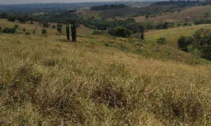 Terreno à venda no Rio da Várzea, Cesário Lange 