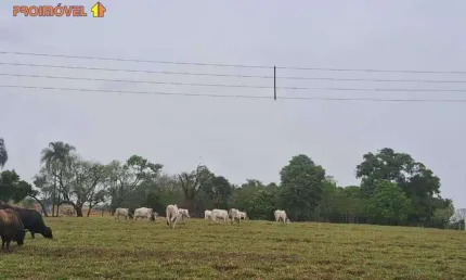Fazenda com 1 sala à venda na Zona Rural, Araçoiaba da Serra 