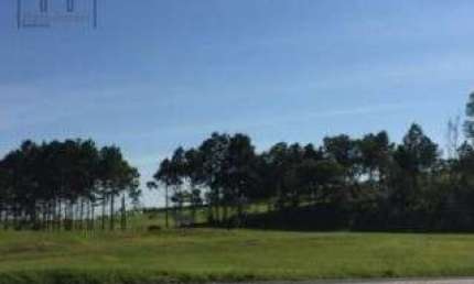 Área, 10900 m² - venda por R$ 3.900.000,00 ou aluguel por R$ 10.000,00/mês - Vila Artura - Sorocaba/SP