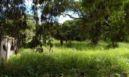 Área à venda, 4015 m² por R$ 640.000,00 - Jardim Tatuí - Tatuí/SP