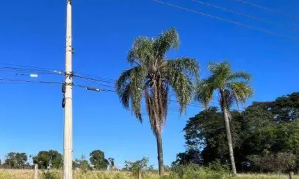 Terreno à venda, 8000 m² por R$ 3.136.000,00 - Vila Pedroso - Votorantim/SP