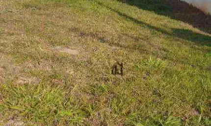 Terreno à venda, 250 m² por R$ 383.000,00 - Condomínio Ibiti Reserva - Sorocaba/SP