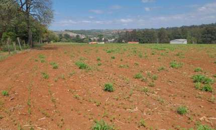 Terreno à venda, 175 m² por R$ 75.000,00 - Capoavinha - Votorantim/SP