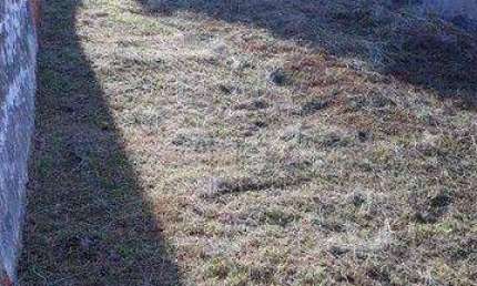 Terreno à venda, 250 m² por R$ 260.000,00 - Jardim Prestes de Barros - Sorocaba/SP