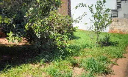 Vende se terreno comercial ou residencial vila maceno