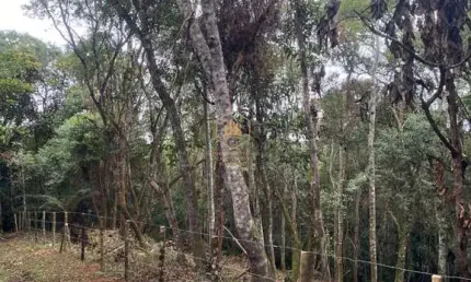 TERRENO PARA CHÁCARA DE 2380m² A VENDA POR R$ 110.000