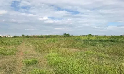 Área à venda, 47900 m² por R$ 9.600.000,00 - Santa Rosa - Piracicaba/SP