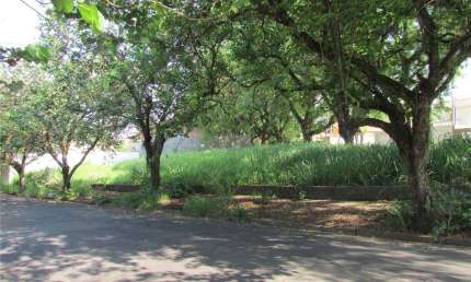 Terreno à venda, 843 m² por R$ 530.000,00 - Nova Piracicaba - Piracicaba/SP