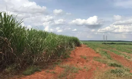 Área à venda, 35842 m² por r$ 1.000.000,00 - capim fino - piracicaba/sp