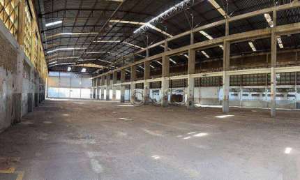 Galpão, 10000 m² - venda por R$ 48.000.000,00 ou aluguel por R$ 220.120,00/mês - Vila Industrial - Piracicaba/SP