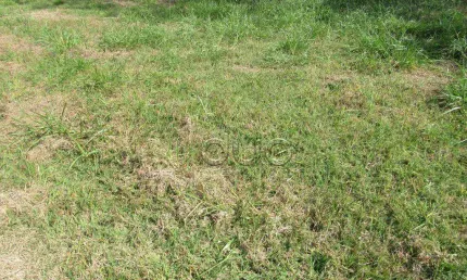 Terreno à venda, 360 m² por R$ 350.000,00 - Loteamento Residencial Reserva Do Engenho - Piracicaba/SP