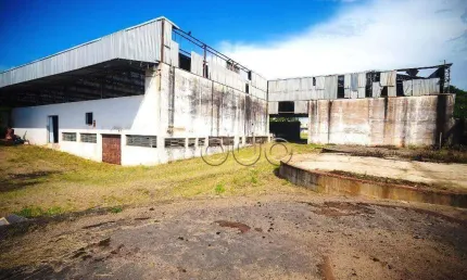 Galpão, 5000 m² - venda por R$ 12.800.000,00 ou aluguel por R$ 100.000,00/mês - Vila Rezende - Piracicaba/SP