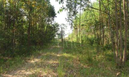 Área à venda, 45000 m² por R$ 2.250.000,00 - Santa Luzia - Charqueada/SP