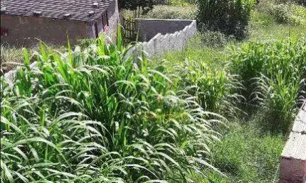 Terreno à venda na Rua Teófilo Otoni, Jardim Japão (Caucaia do Alto), Cotia