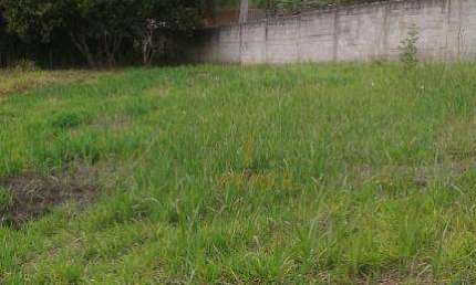 Terreno à venda na Estrada Morro Grande, Jardim Ísis, Cotia