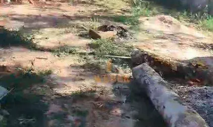 Terreno à venda, 500 m² por R$ 149.990 - (Caucaia do Alto) - Cotia/SP