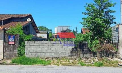Terreno à venda, 300 m² por R$ 360.000,00 - Parque São Luis - Cubatão/SP