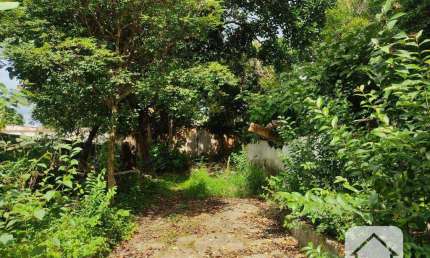 Terreno para alugar, 660 m² por R$ 8.884,82/mês - Butantã - São Paulo/SP