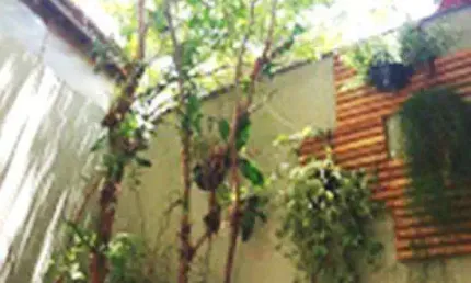 Casa com 4 quartos à venda na Rua Pedro Inácio de Araújo, 617, Vila São Francisco, São Paulo