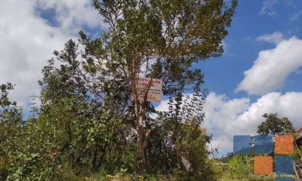 Terreno à venda, 4000 m² por R$ 150.000,00 - Ravena - Sabará/MG