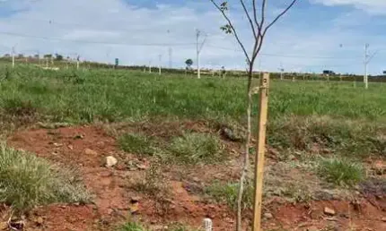 Terreno - em condomínio, para venda em uberlândia/mg