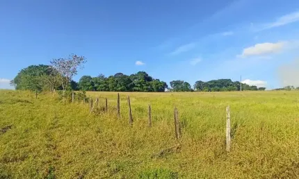 Terreno à venda, 8584 m² por R$ 200.000,00 - Canta Galo - Pouso Alegre/MG