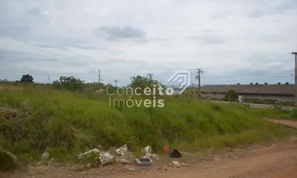 Terreno comercial para alugar na Rua Professor Fábio Fanucchi, s/n, Boa Vista, Ponta Grossa