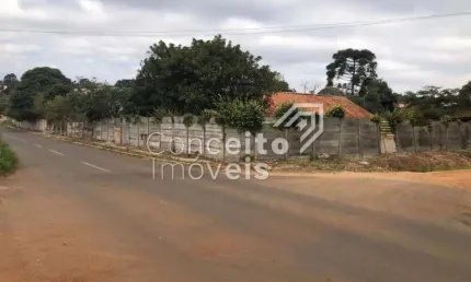 Terreno comercial para alugar na Rua Ferreira Viana, 575, Uvaranas, Ponta Grossa