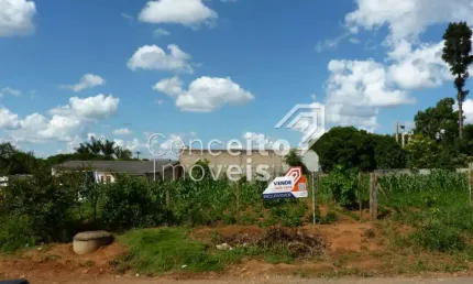 Terreno à venda na Rua Bem-te-vi, Frente 940, Piriquitos, Ponta Grossa