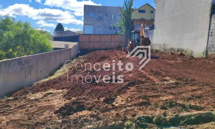 Terreno à venda na Rua Pedro Lopes de Lara, Neves, Ponta Grossa