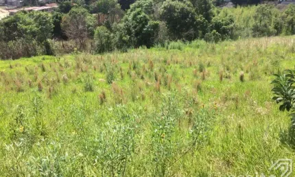 Terreno à venda na Rua José de Oliveira Franco, próximo 1, Chapada, Ponta Grossa