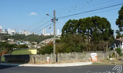 Terreno à venda na Rua Chile, Lado 251, Ronda, Ponta Grossa