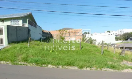 Terreno à venda na Rua Horácio Antunes Mendes, Lado 287, Orfãs, Ponta Grossa